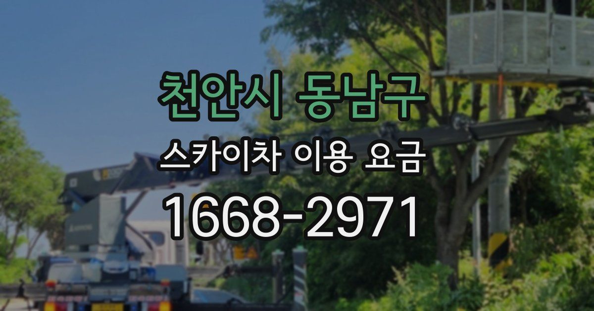 천안시 동남구 스카이차 이용 요금