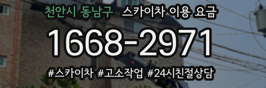 천안시 동남구 스카이차 이용 요금