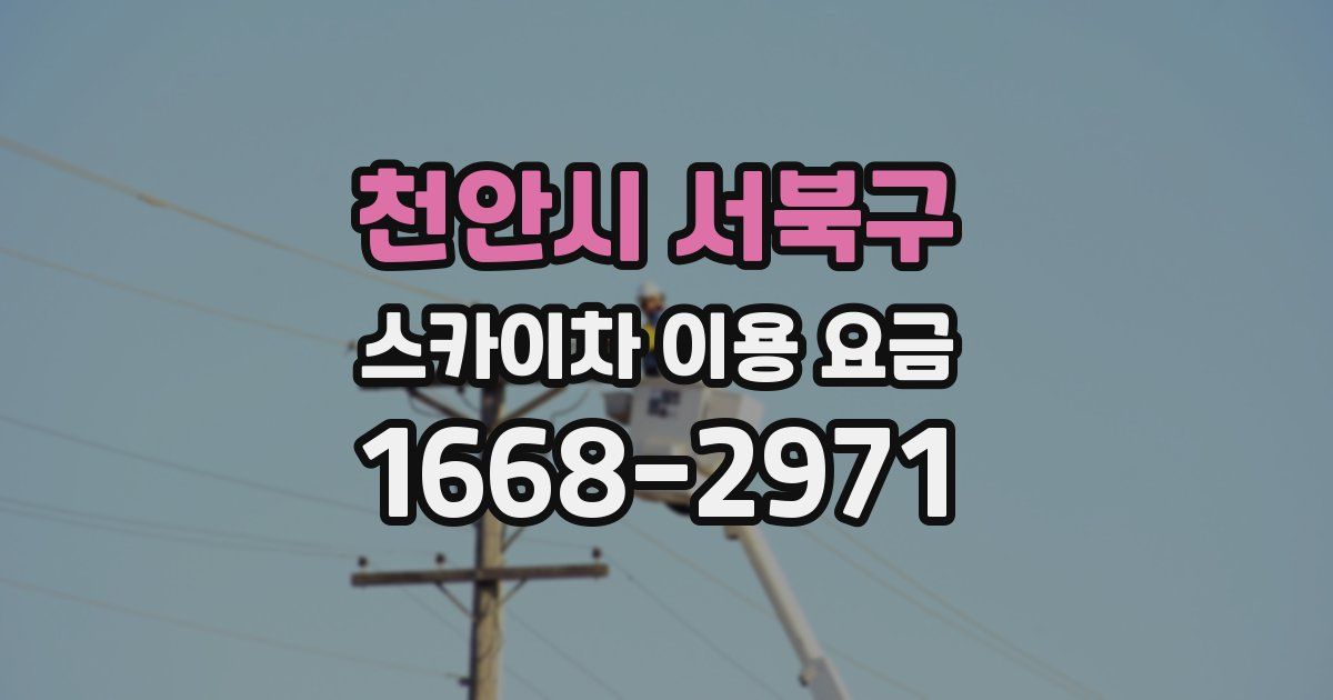 천안시 서북구 스카이차 이용 요금