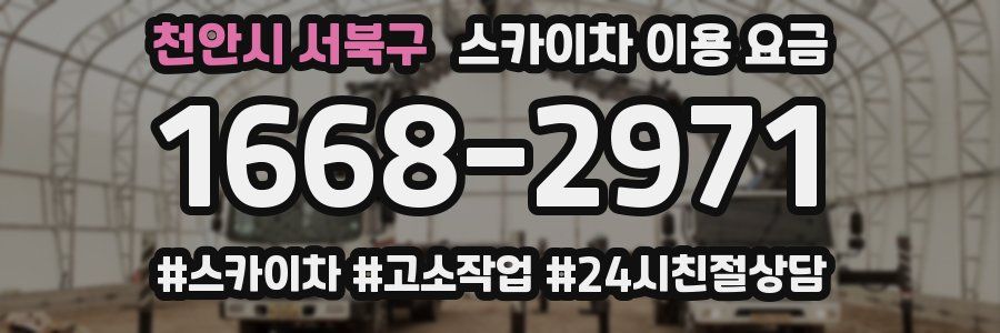 천안시 서북구 스카이차 이용 요금