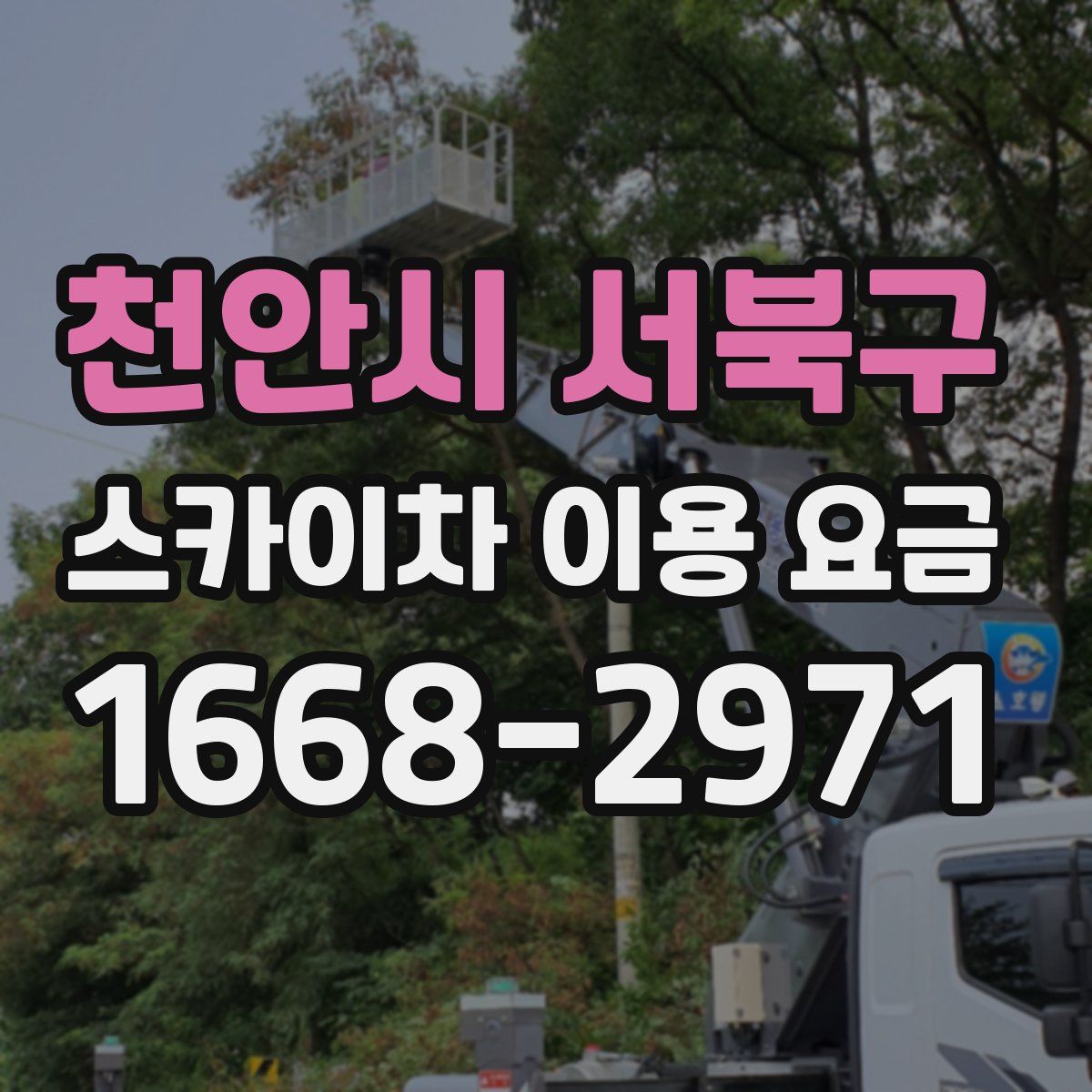 천안시 서북구 스카이차 이용 요금