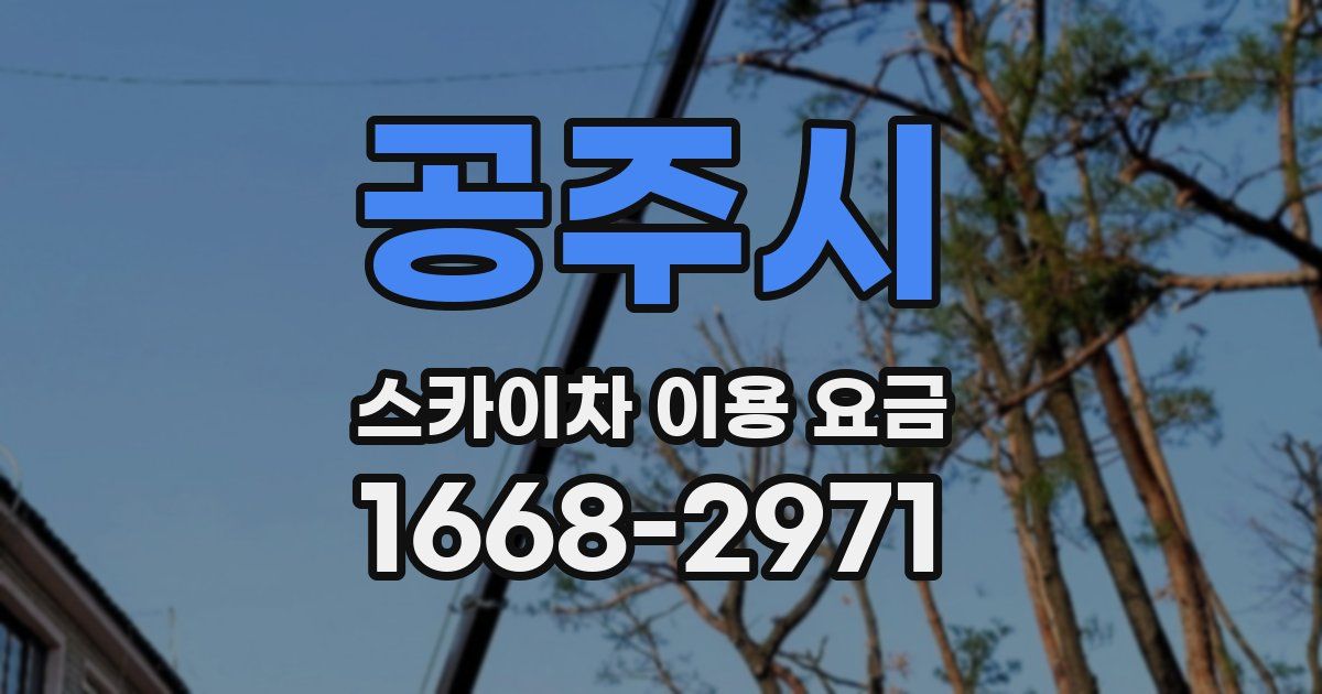 공주시 스카이차 이용 요금