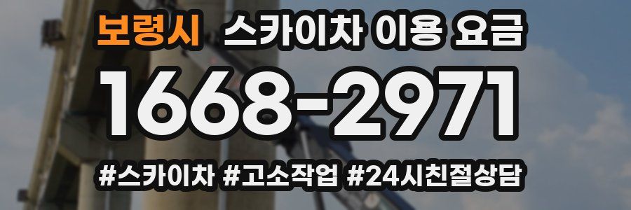 보령시 스카이차 이용 요금