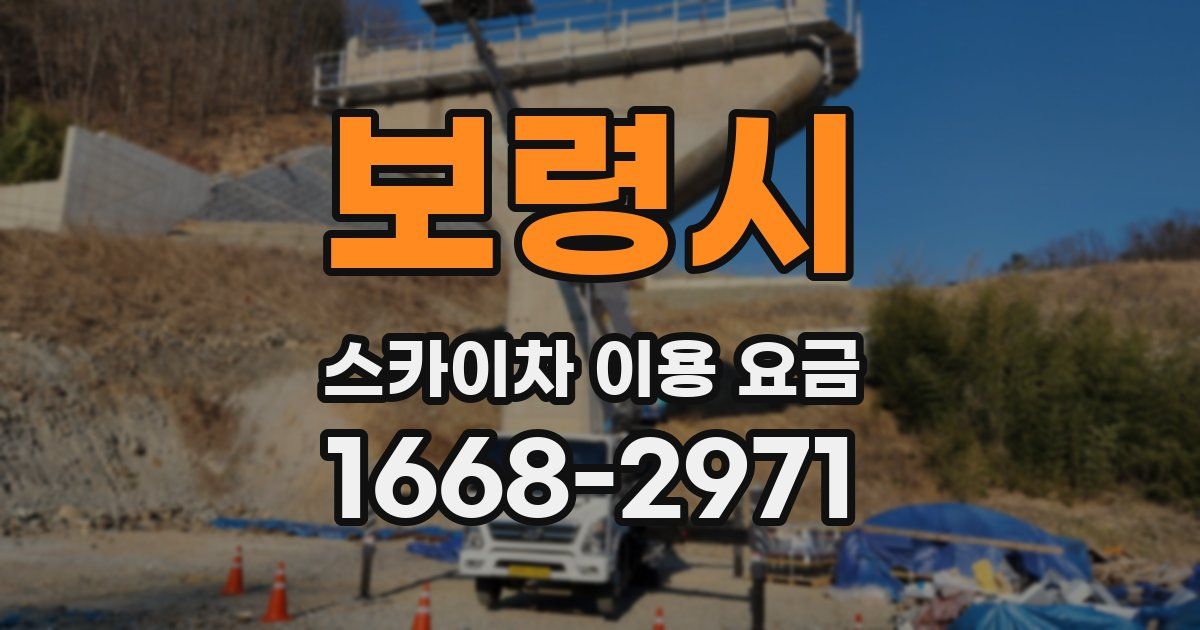 보령시 스카이차 이용 요금