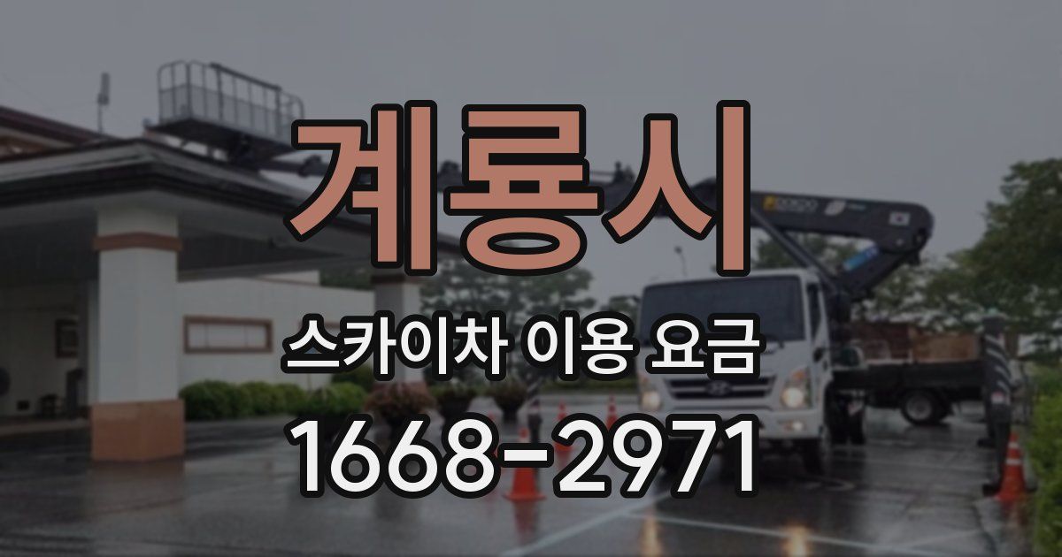 계룡시 스카이차 이용 요금