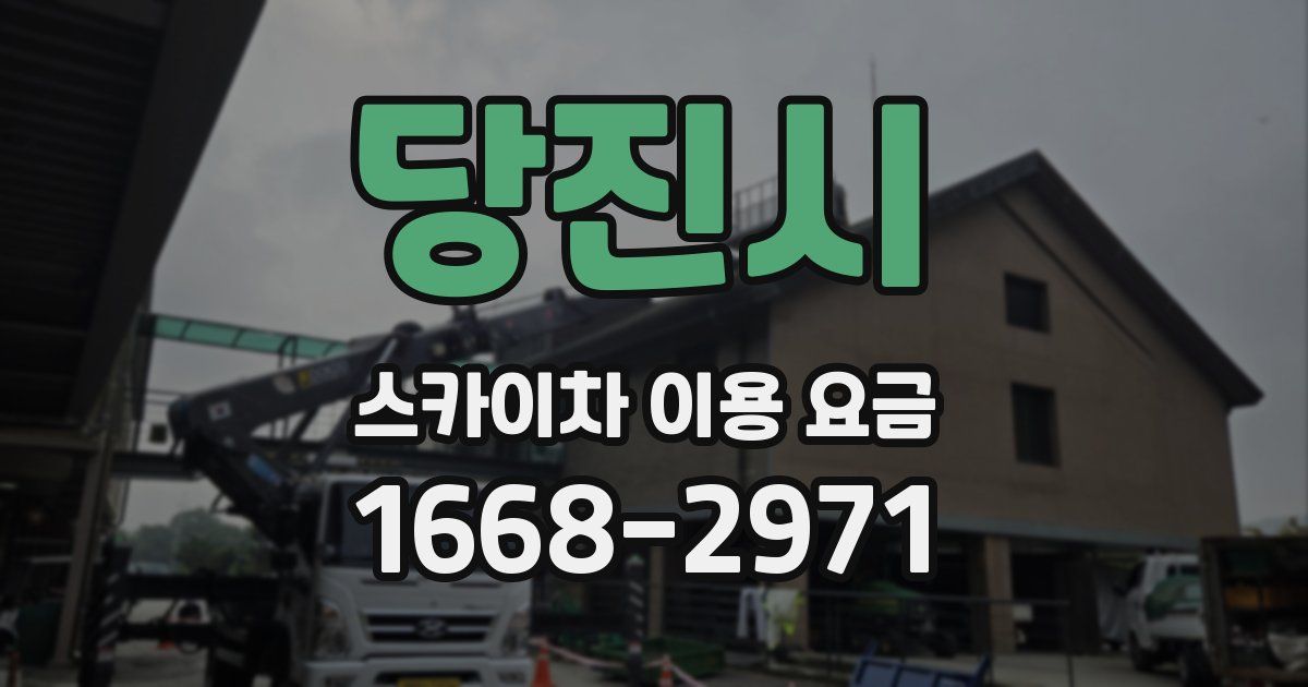당진시 스카이차 이용 요금