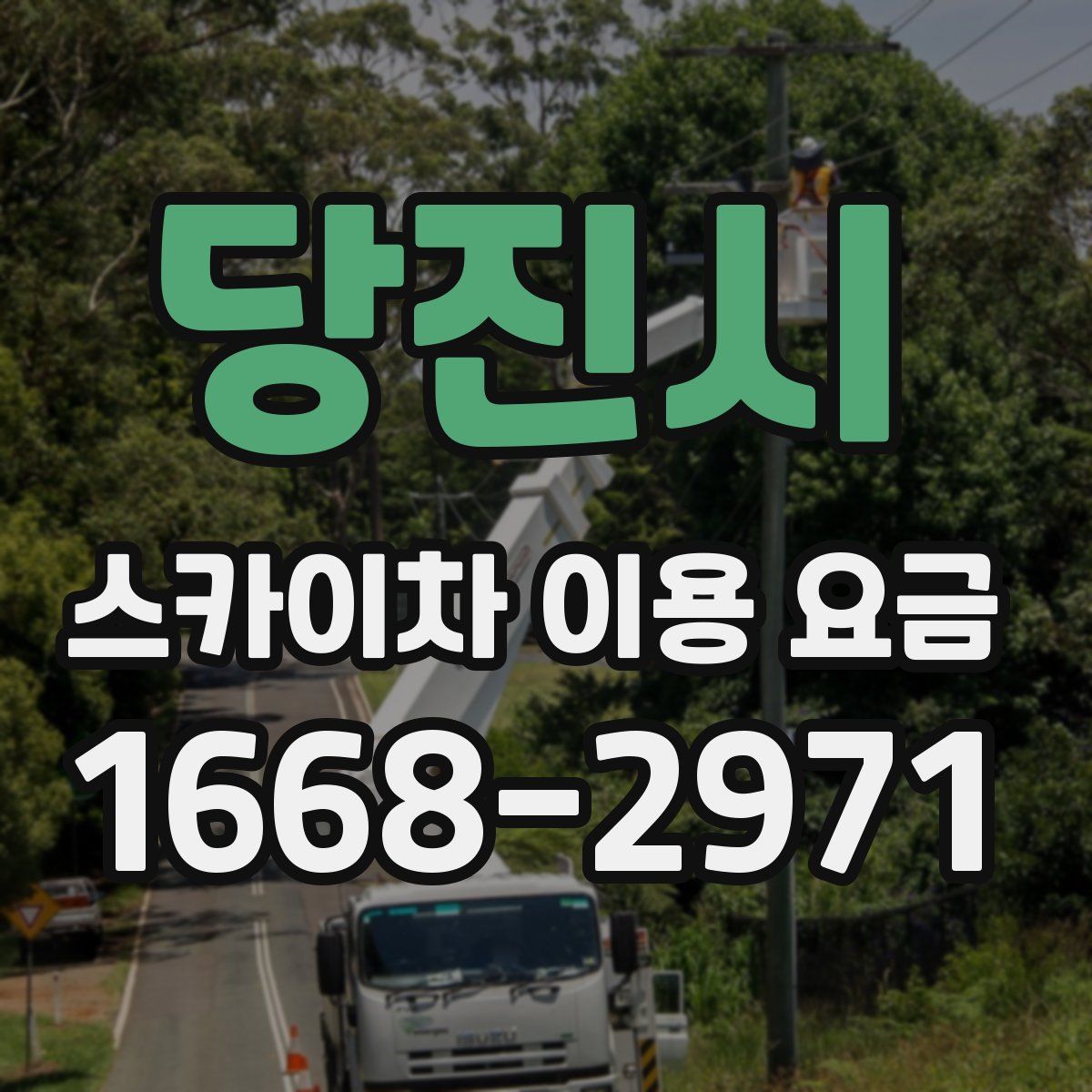 당진시 스카이차 이용 요금