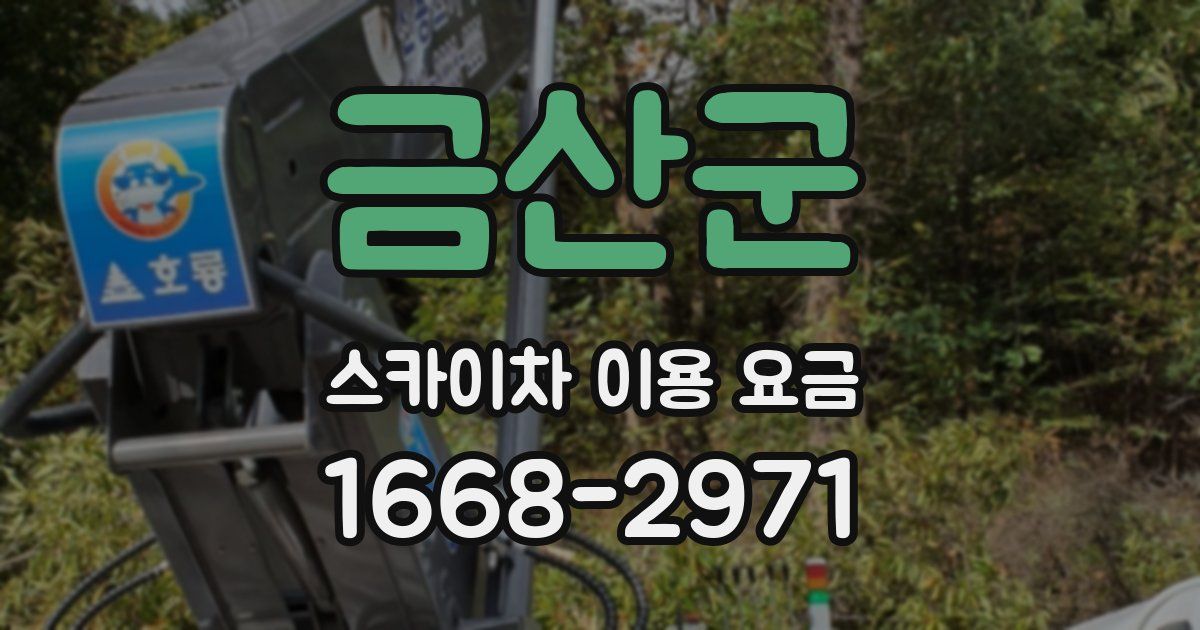 금산군 스카이차 이용 요금