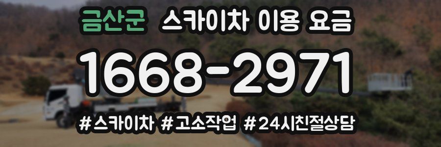 금산군 스카이차 이용 요금