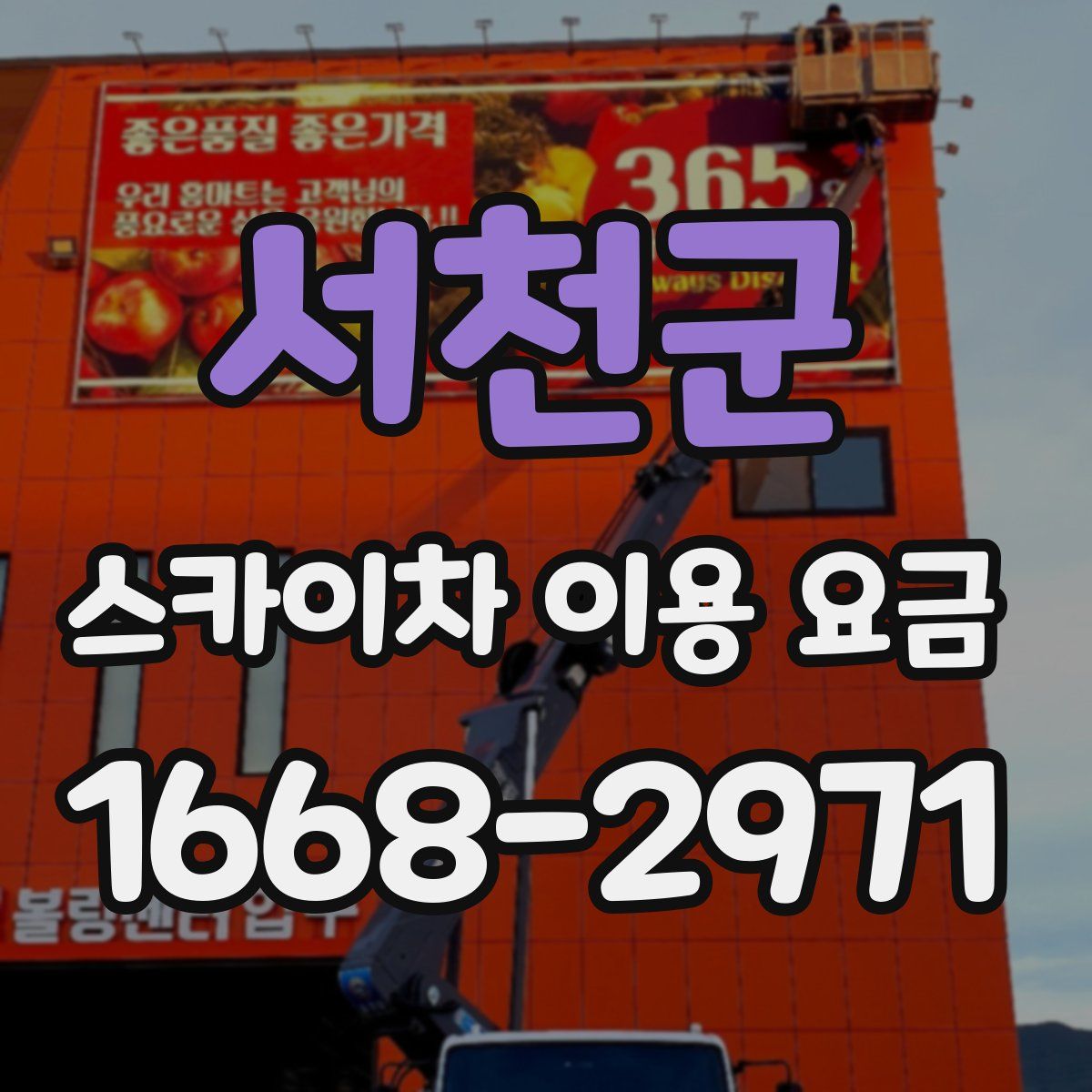 서천군 스카이차 이용 요금
