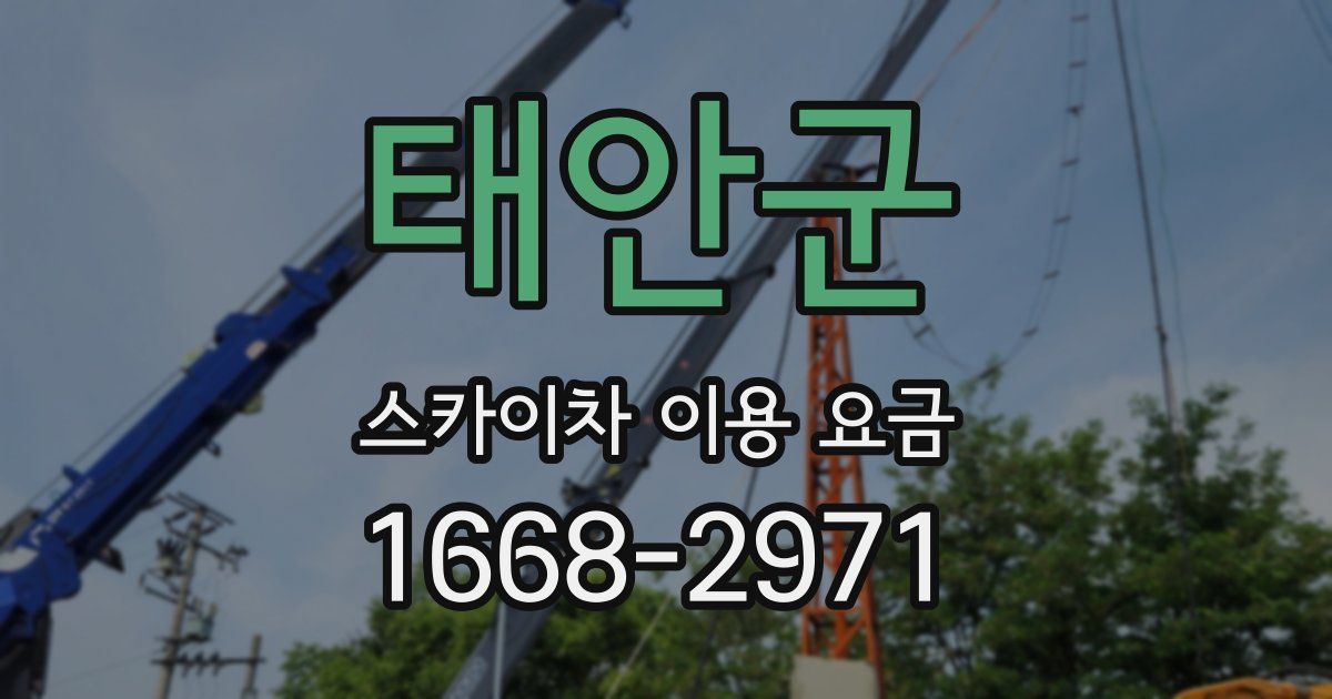 태안군 스카이차 이용 요금