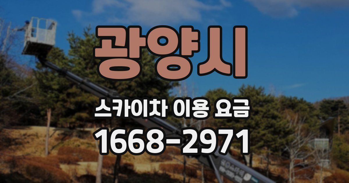 광양시 스카이차 이용 요금