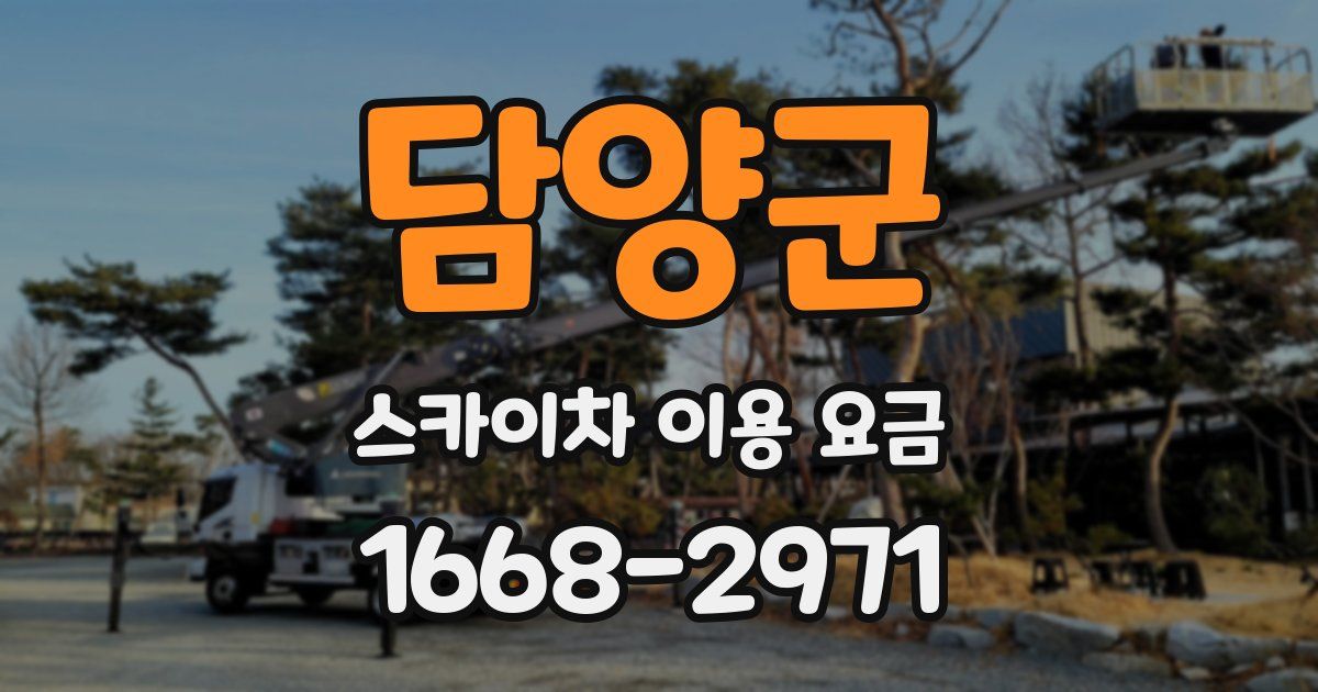 담양군 스카이차 이용 요금