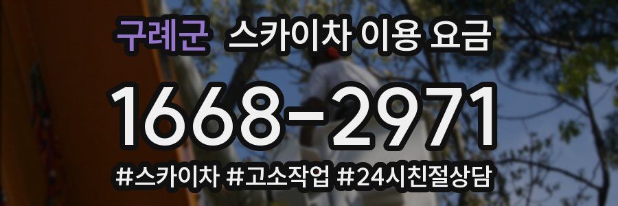 구례군 스카이차 이용 요금