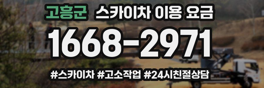 고흥군 스카이차 이용 요금