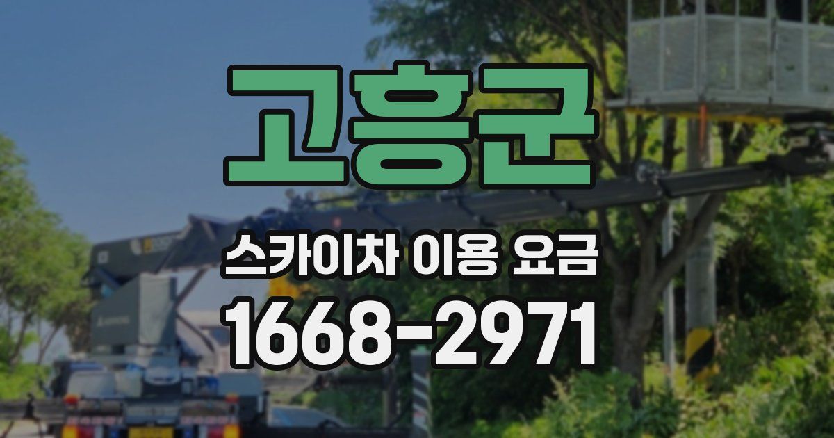 고흥군 스카이차 이용 요금