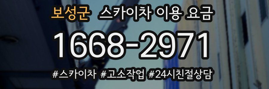 보성군 스카이차 이용 요금