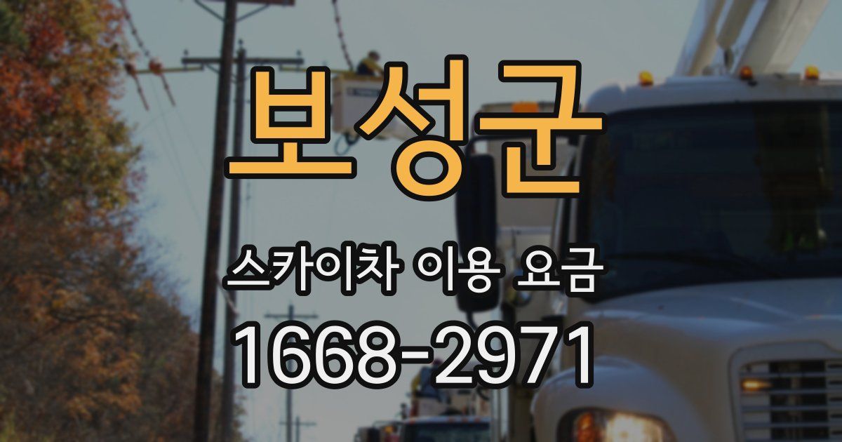 보성군 스카이차 이용 요금