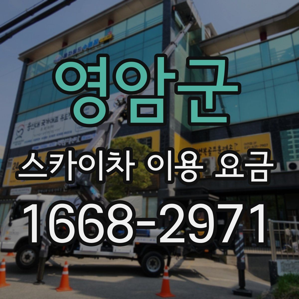 영암군 스카이차 이용 요금 비교, 현장에 맞는 판단 기준