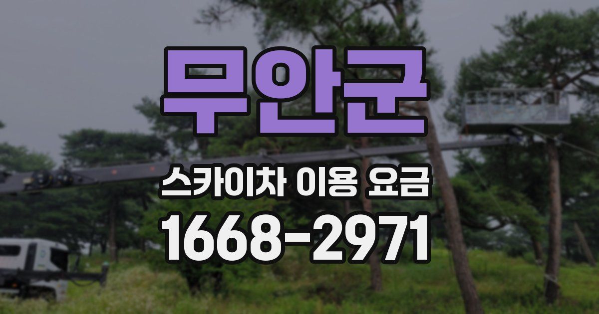 무안군 스카이차 이용 요금