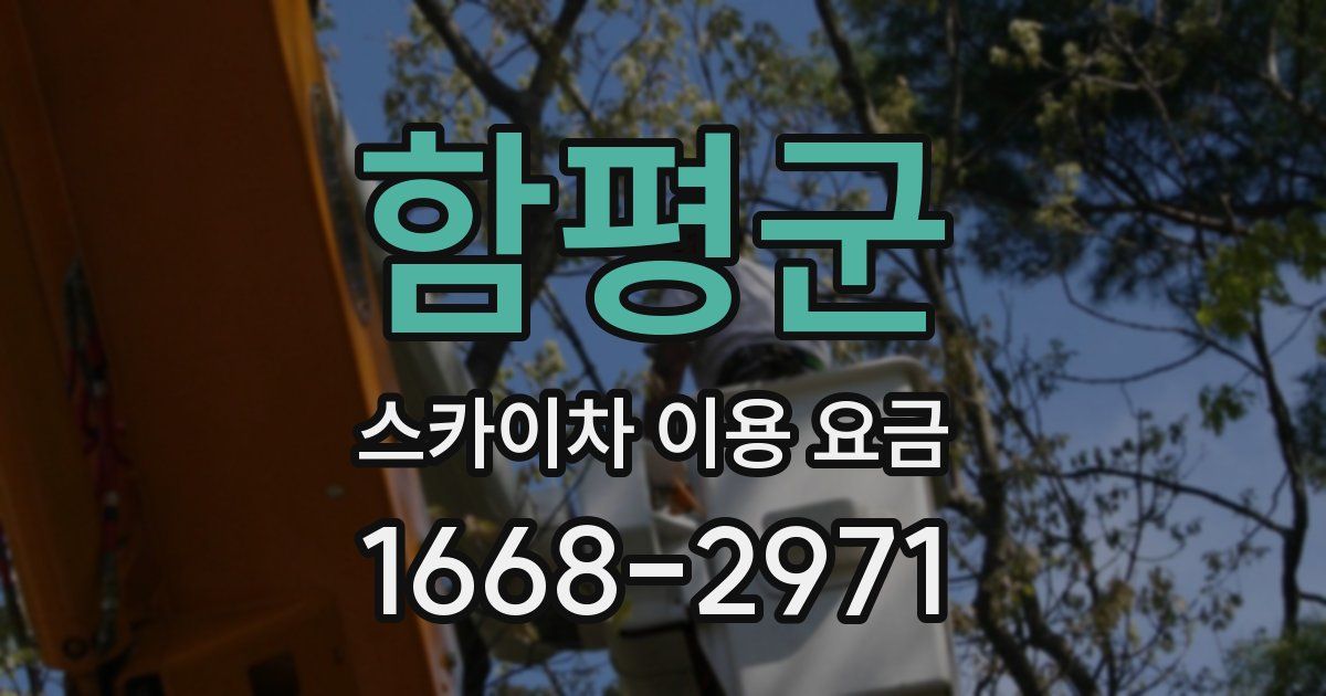 함평군 스카이차 이용 요금