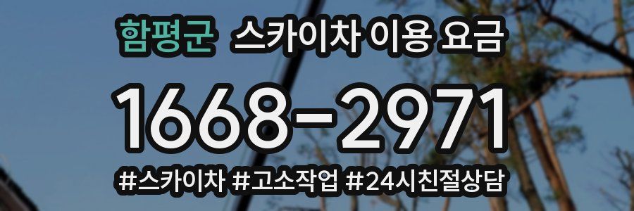 함평군 스카이차 이용 요금