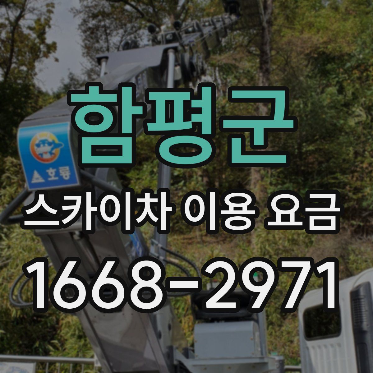 함평군 스카이차 이용 요금