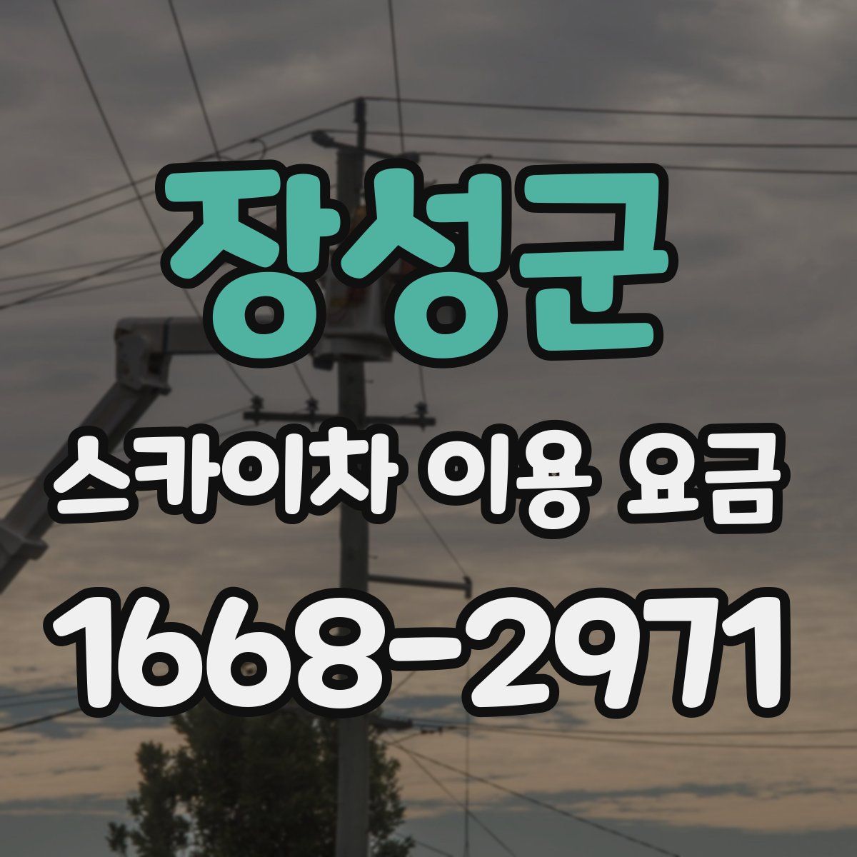 장성군 스카이차 이용 요금