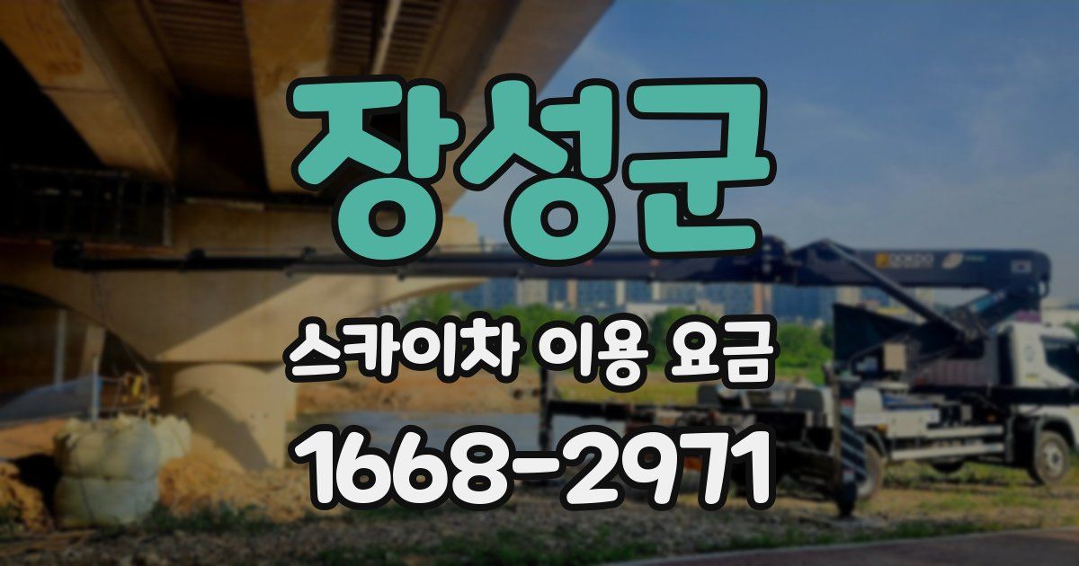 장성군 스카이차 이용 요금