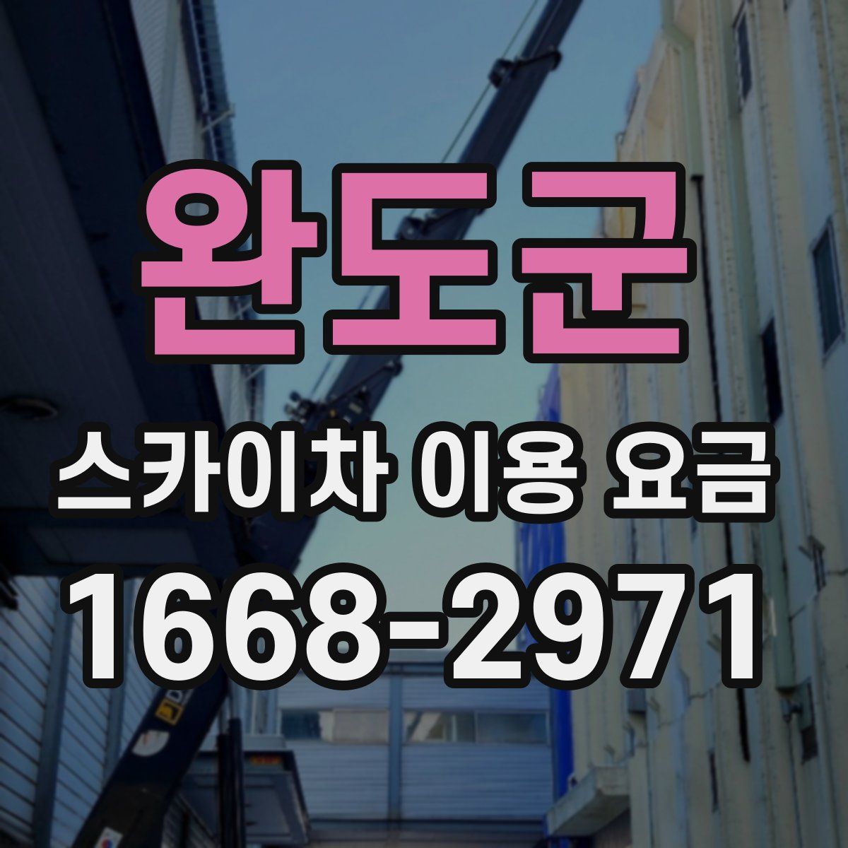 완도군 스카이차 이용 요금