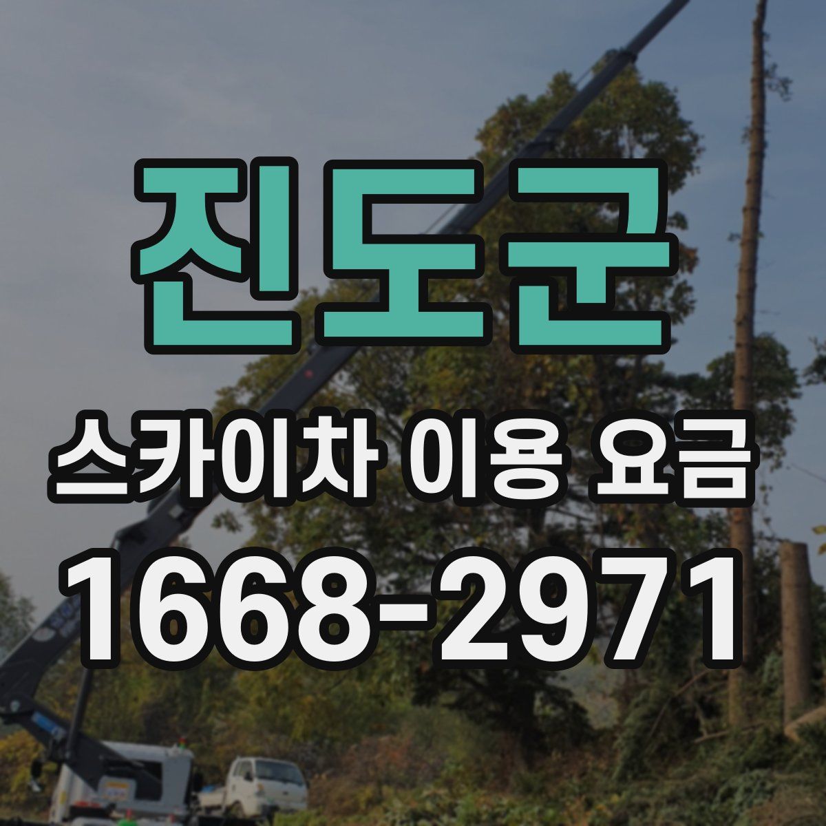 진도군 스카이차 이용 요금