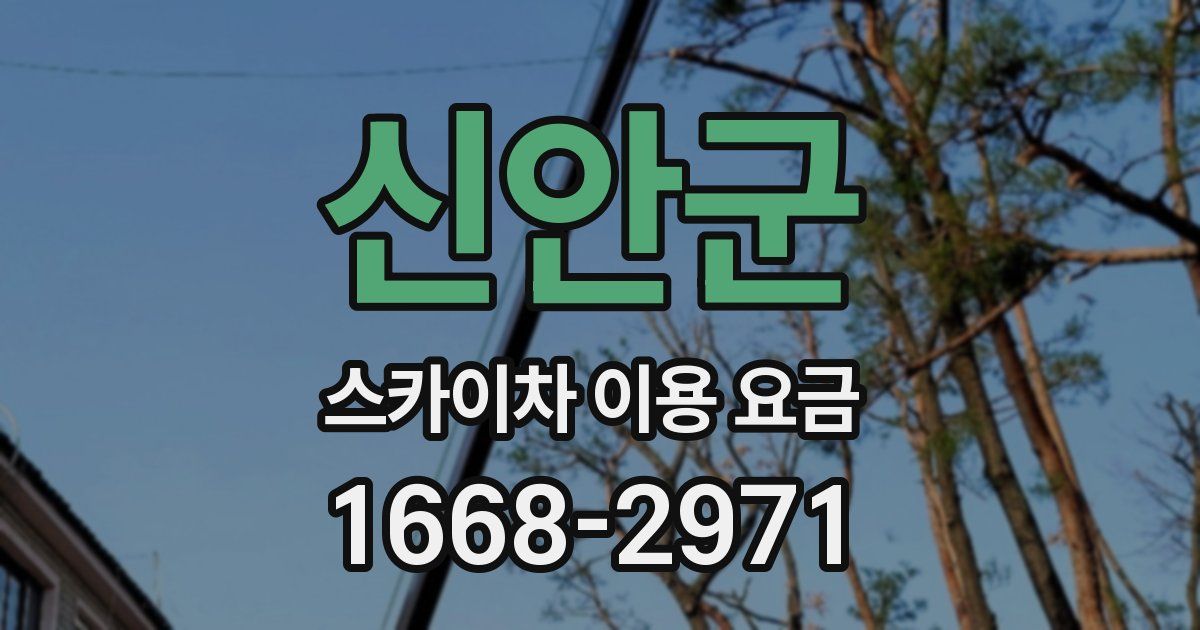 신안군 스카이차 이용 요금