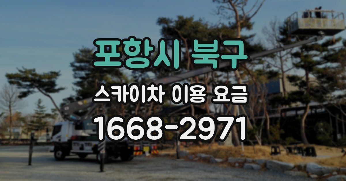 포항시 북구 스카이차 이용 요금