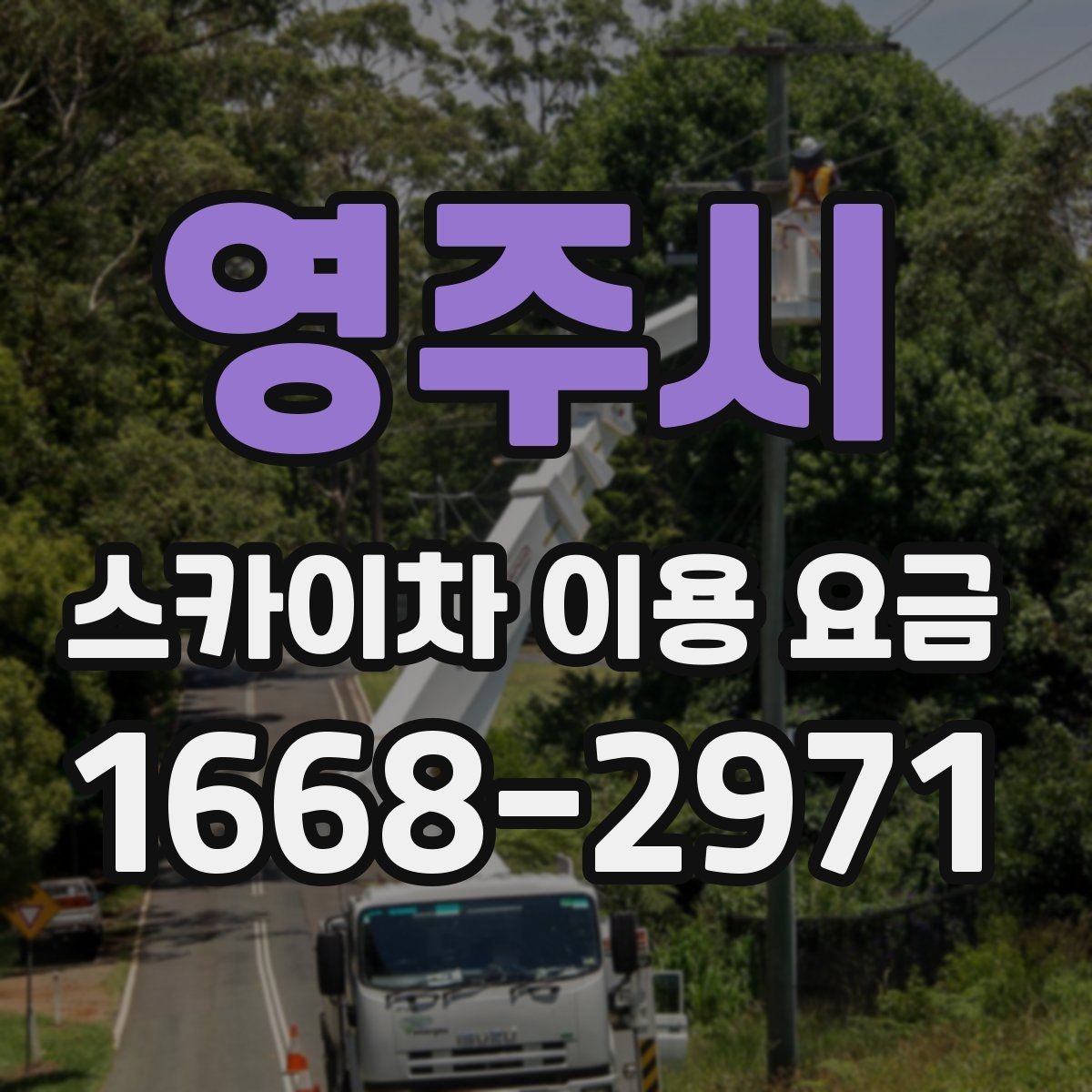 영주시 스카이차 이용 요금 상담 시 물어봐야 할 질문