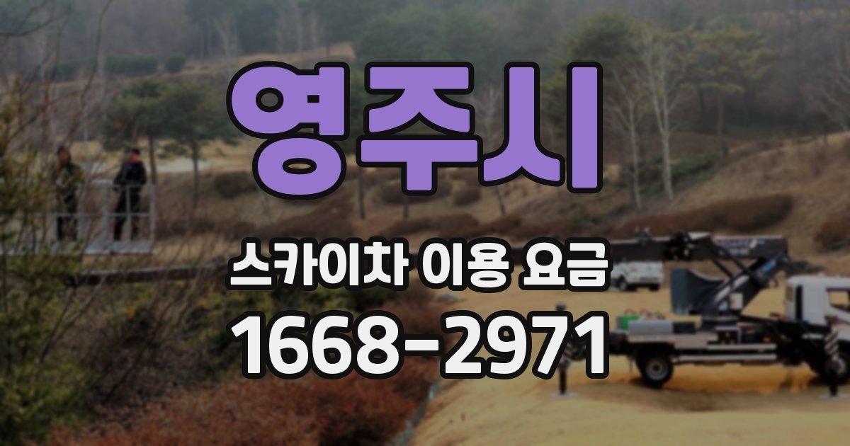 영주시 스카이차 이용 요금