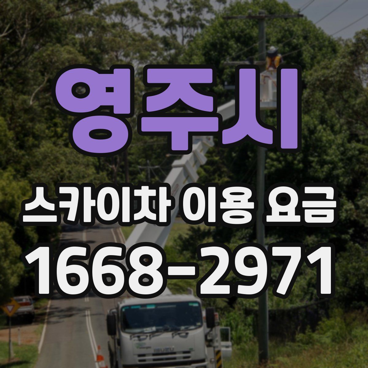 영주시 스카이차 이용 요금