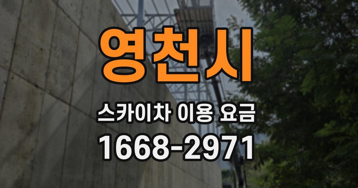 영천시 스카이차 이용 요금