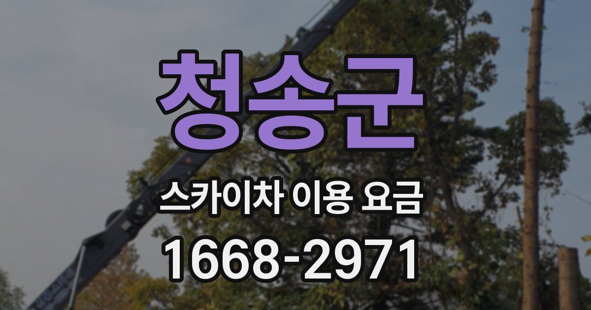 청송군 스카이차 이용 요금