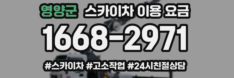 영양군 스카이차 이용 요금