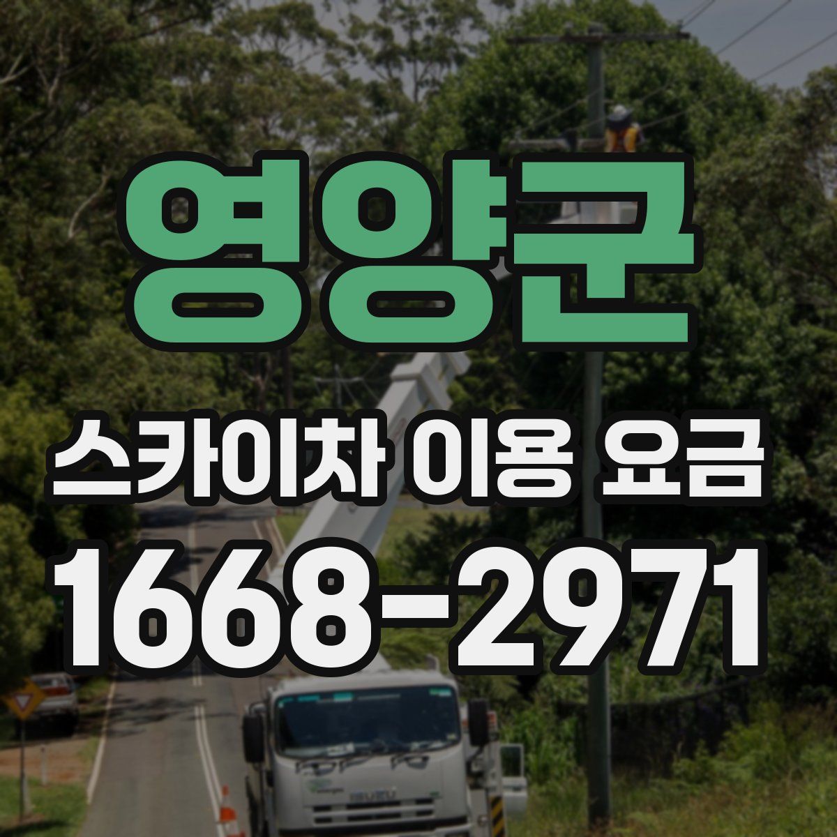 영양군 스카이차 이용 요금