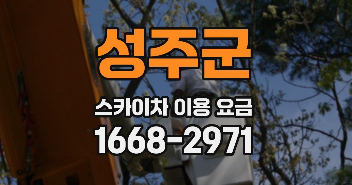 성주군 스카이차 이용 요금