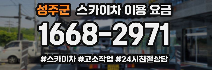 성주군 스카이차 이용 요금