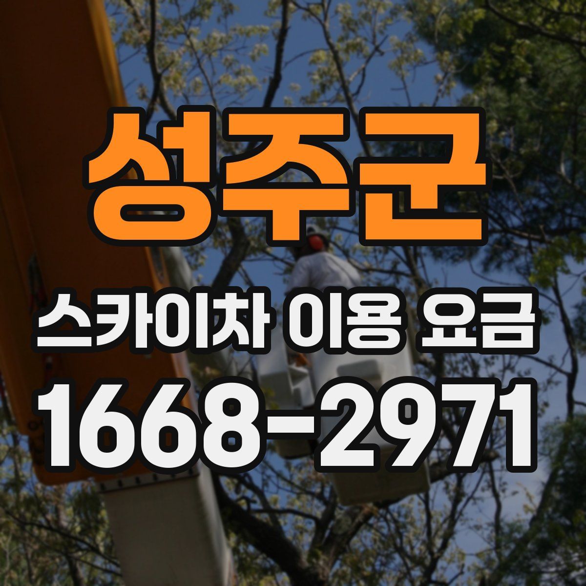 성주군 스카이차 이용 요금