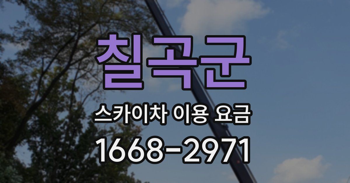 칠곡군 스카이차 이용 요금