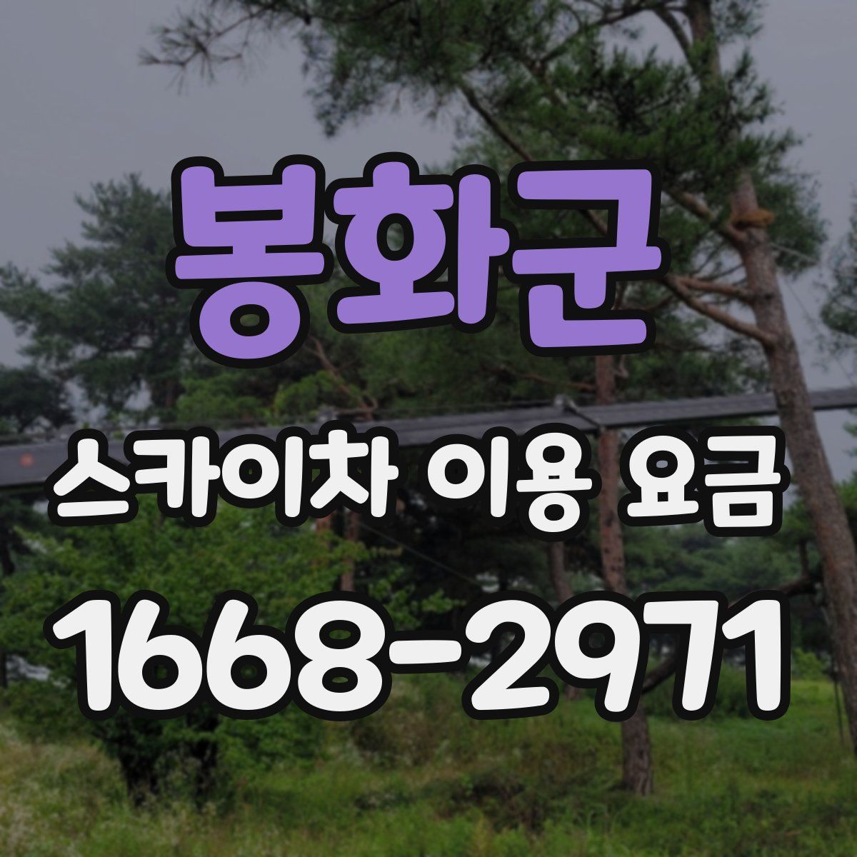 봉화군 스카이차 이용 요금