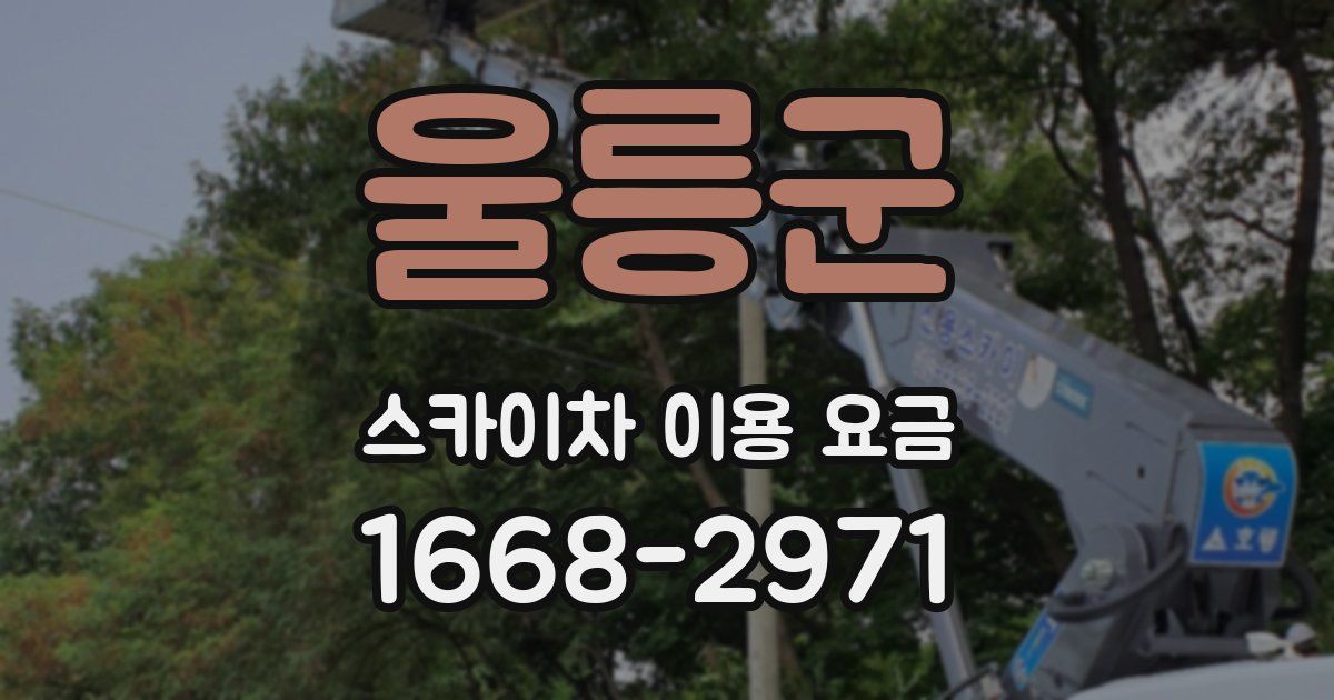 울릉군 스카이차 이용 요금