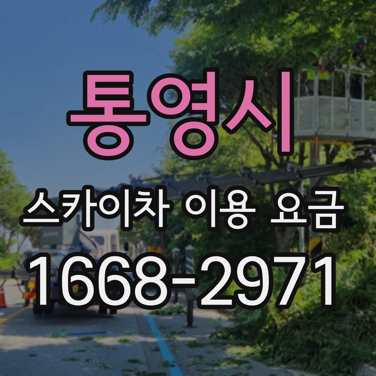 통영시 스카이차 이용 요금