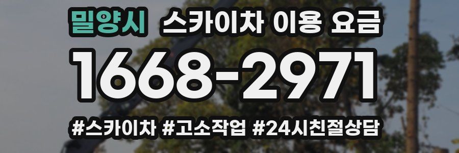 밀양시 스카이차 이용 요금
