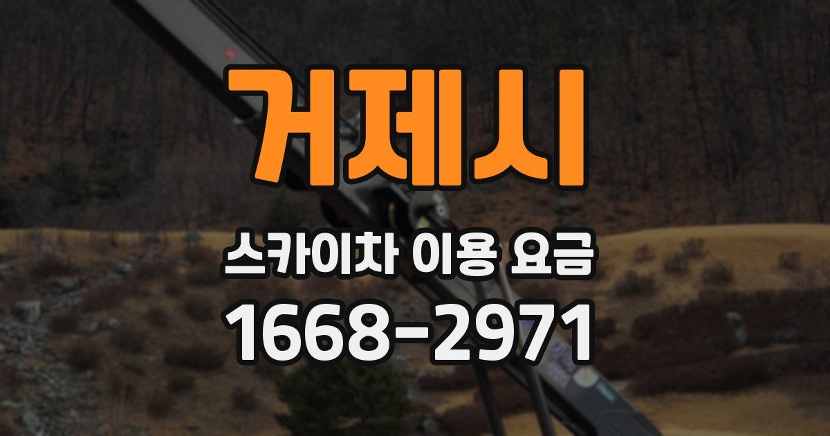 거제시 스카이차 이용 요금