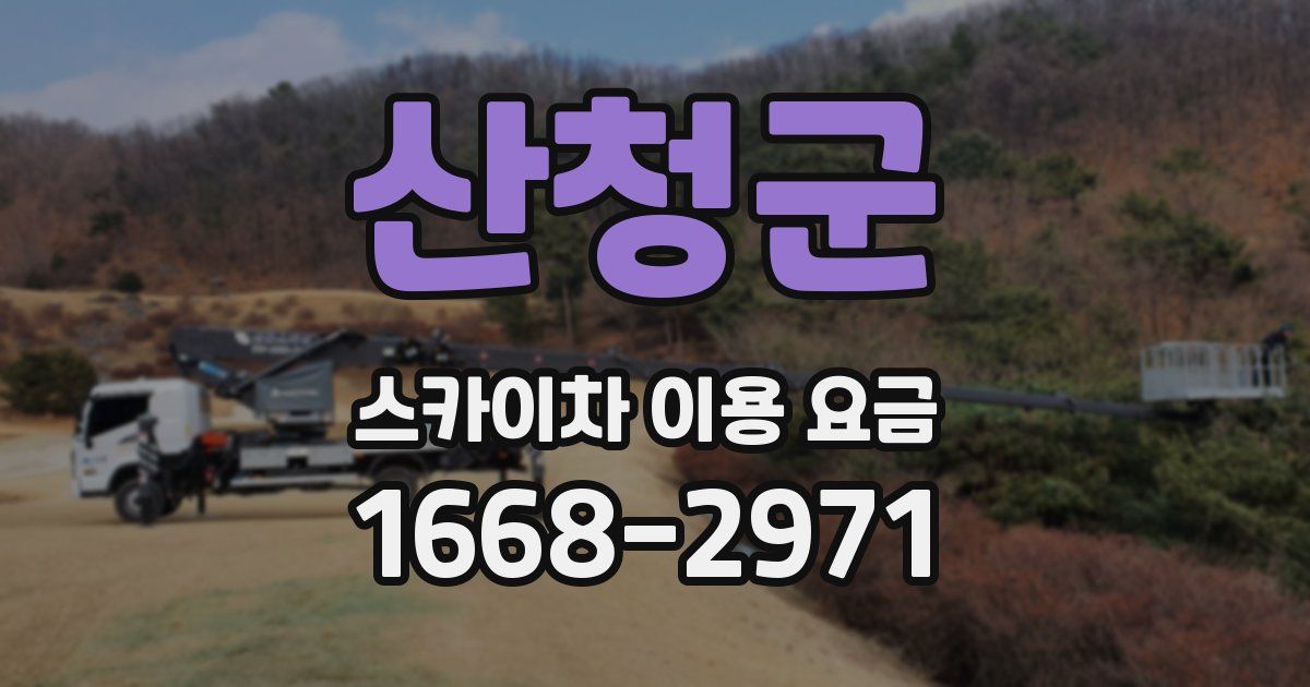 산청군 스카이차 이용 요금